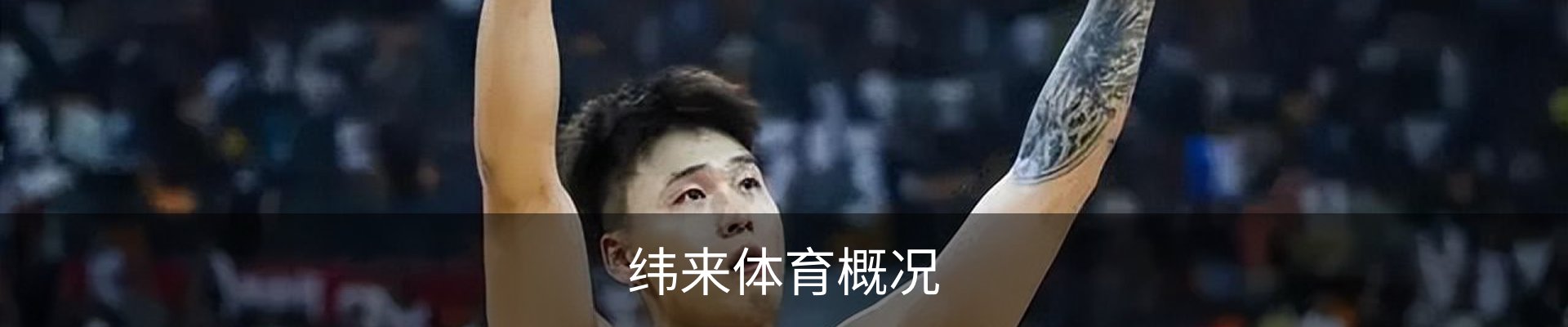 纬来体育概况